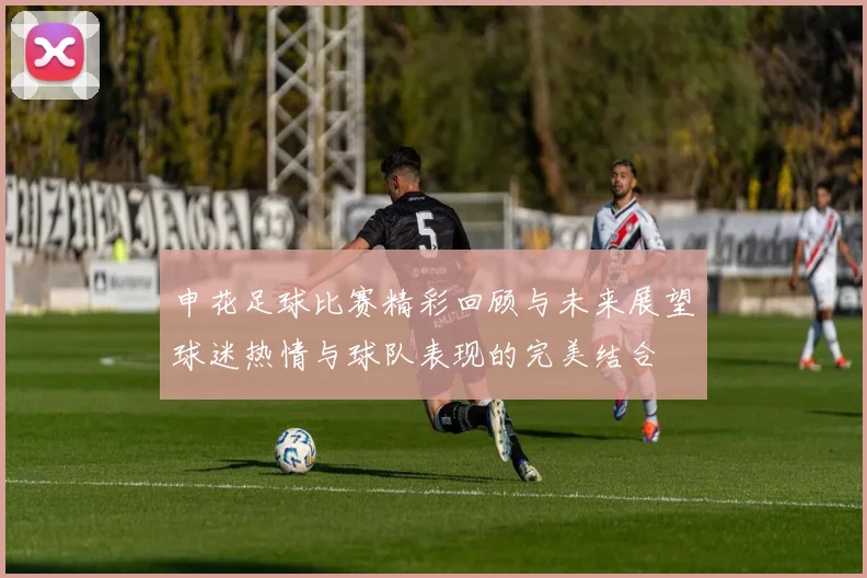 申花足球比赛精彩回顾与未来展望球迷热情与球队表现的完美结合