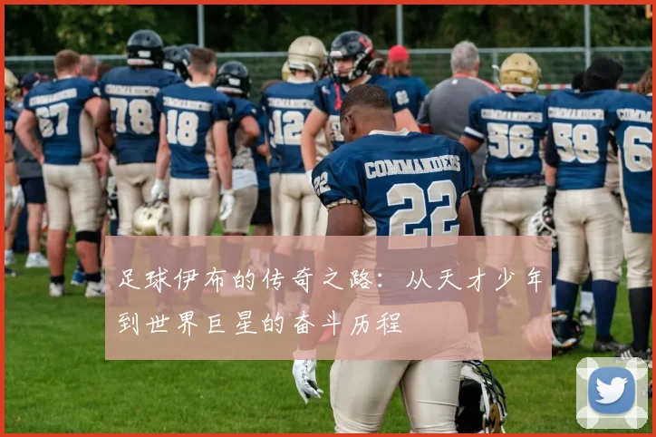 足球伊布的传奇之路：从天才少年到世界巨星的奋斗历程